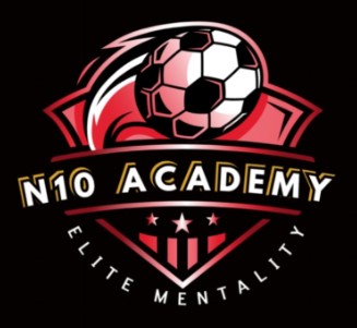 N10 Academy crest